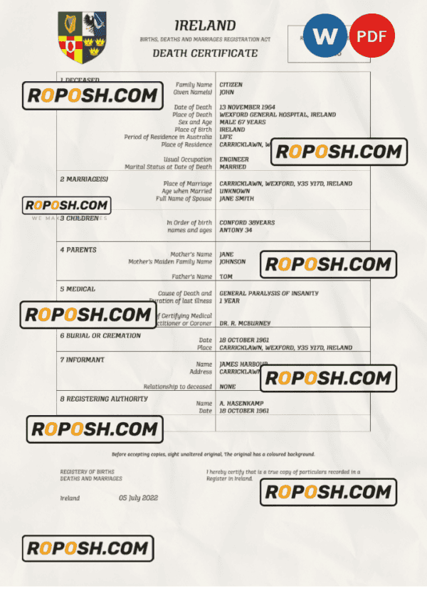 Ireland vital record death certificate Word and PDF template