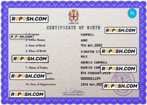Jamaica vital record birth certificate PSD template, fully editable