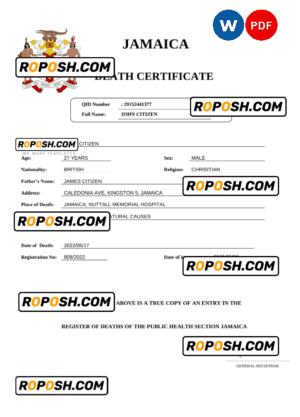 Jamaica vital record death certificate Word and PDF template