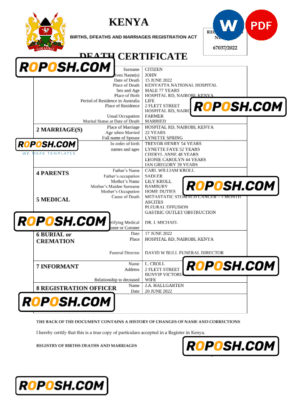 Kenya vital record death certificate Word and PDF template
