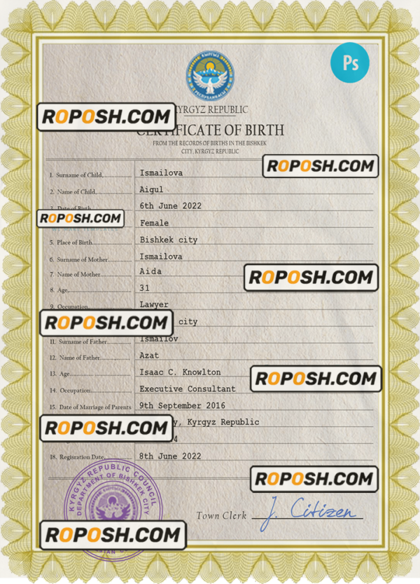 Kyrgyzstan vital record birth certificate PSD template scan effect