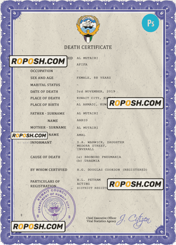Kyrgyzstan death certificate PSD template, completely editable