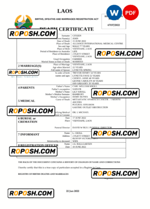 Laos vital record death certificate Word and PDF template