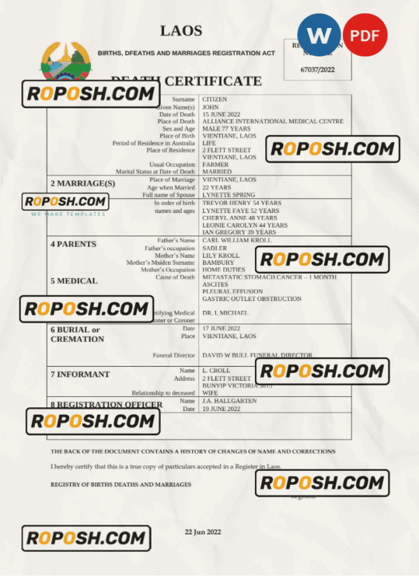 Laos vital record death certificate Word and PDF template