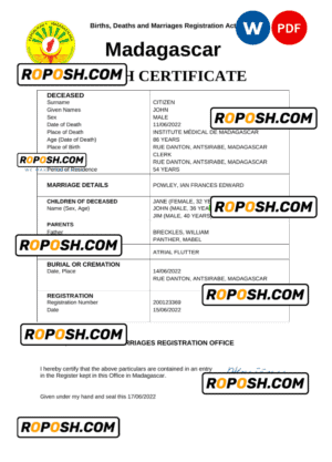 Madagascar vital record death certificate Word and PDF template