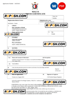 Mauritius vital record birth certificate Word and PDF template, completely editable