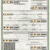Mexico birth certificate Word and PDF template, version 2 scan effect