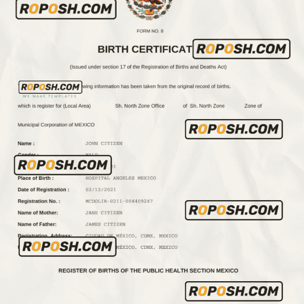 Image 11 for Birth Certificate Translation Template Mexico