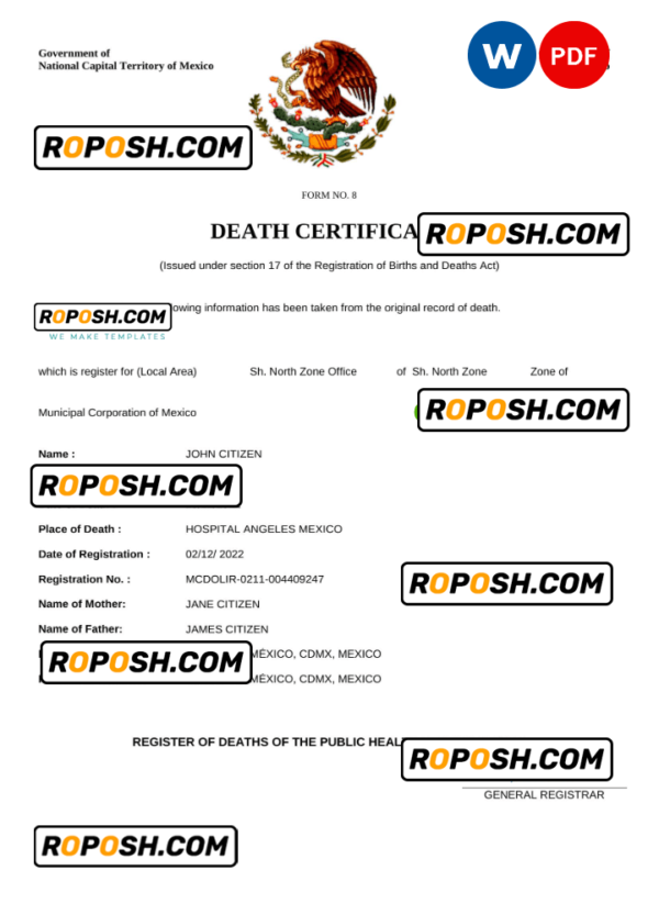 Mexico vital record death certificate Word and PDF template