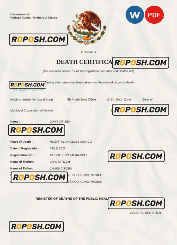 Mexico vital record death certificate Word and PDF template scan effect