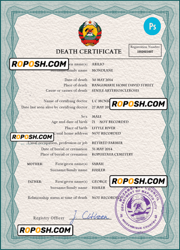Mozambique vital record death certificate PSD template