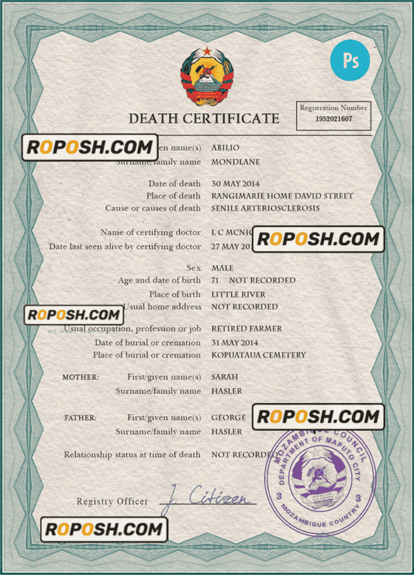 Mozambique vital record death certificate PSD template