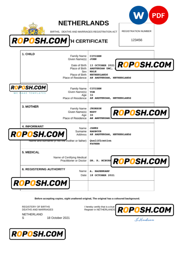 Netherlands vital record birth certificate Word and PDF template, completely editable