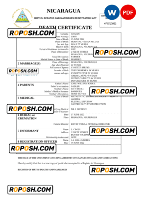 Nicaragua vital record death certificate Word and PDF template