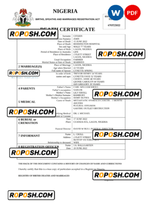 Nigeria vital record death certificate Word and PDF template