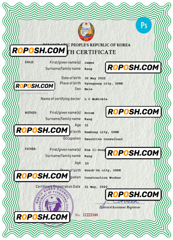 North Korea birth certificate PSD template, completely editable