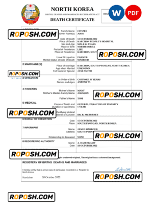 North Korea vital record death certificate Word and PDF template
