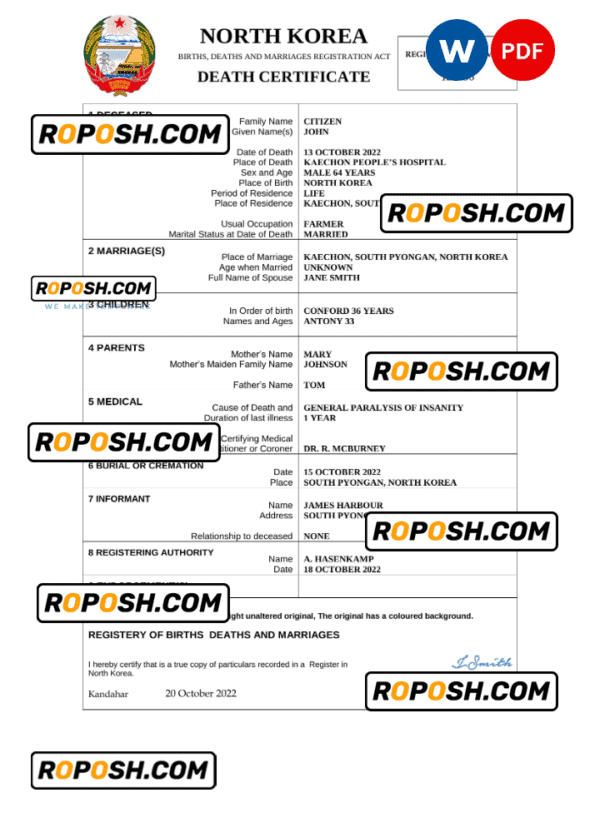 North Korea vital record death certificate Word and PDF template