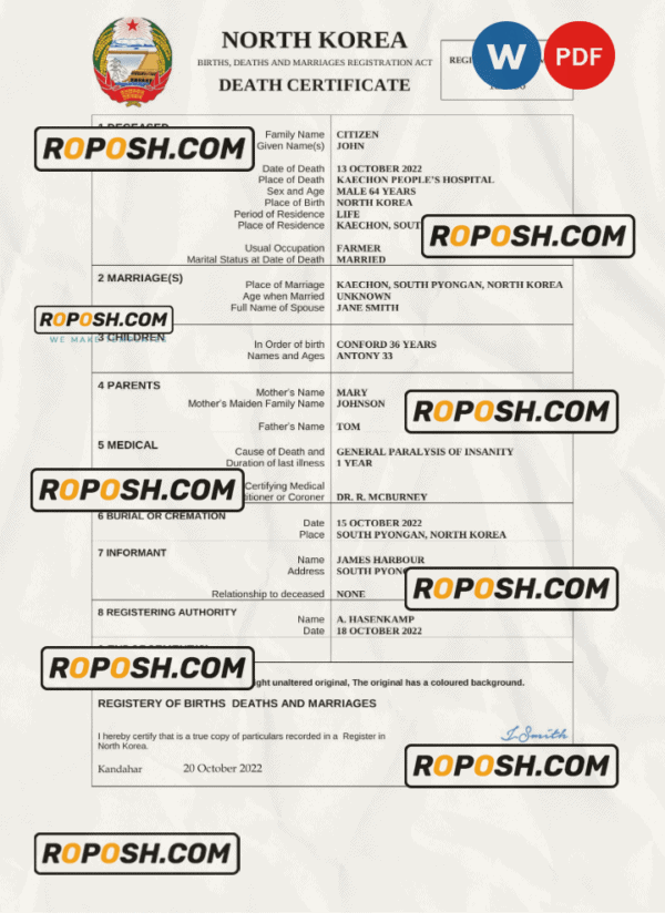 North Korea vital record death certificate Word and PDF template