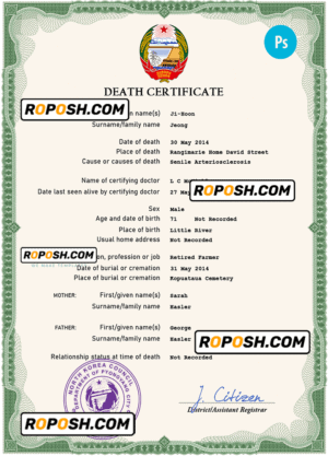 North Korea death certificate PSD template, completely editable