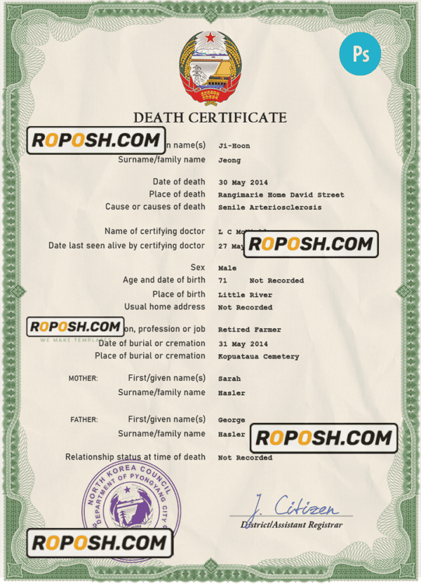 North Korea death certificate PSD template, completely editable