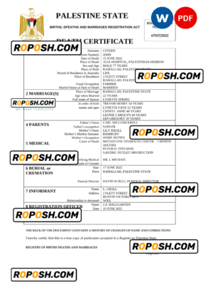 Palestine vital record death certificate Word and PDF template