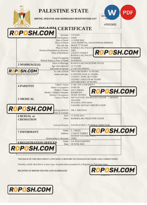 Palestine vital record death certificate Word and PDF template