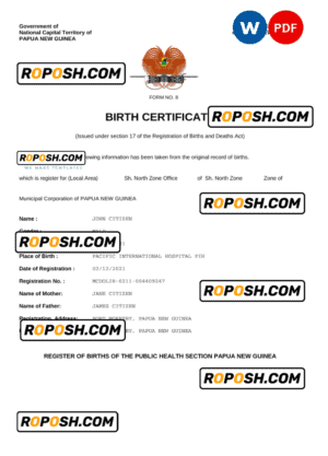 Papua New Guinea vital record birth certificate Word and PDF template, completely editable