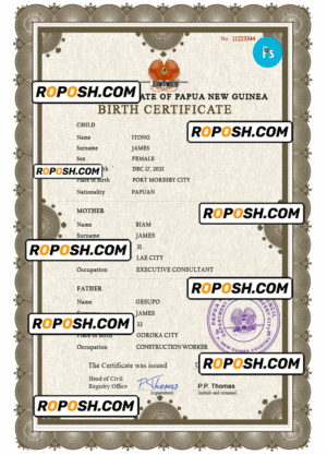 Papua New Guinea birth certificate PSD template, completely editable