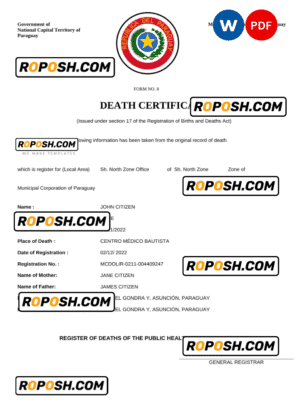 Paraguay death certificate Word and PDF template, completely editable