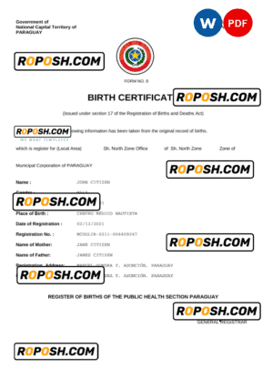 Paraguay birth certificate Word and PDF template, completely editable