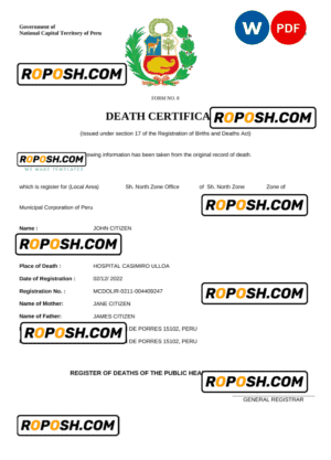 Peru vital record death certificate Word and PDF template