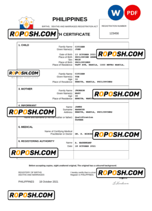Philippines vital record birth certificate Word and PDF template, completely editable