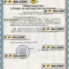 Russia certificate of inheritance Word and PDF template scan effect