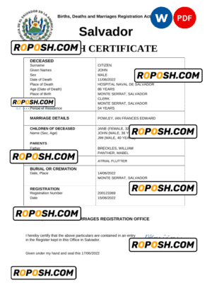 Salvador vital record death certificate Word and PDF template