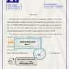 Belgium AXA bank account reference letter template in Word and PDF format