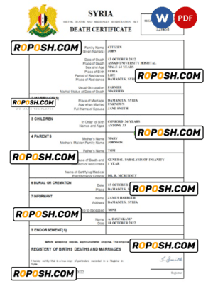 Syria vital record death certificate Word and PDF template