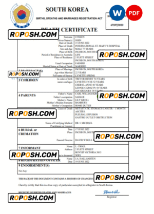 South Korea vital record death certificate Word and PDF template