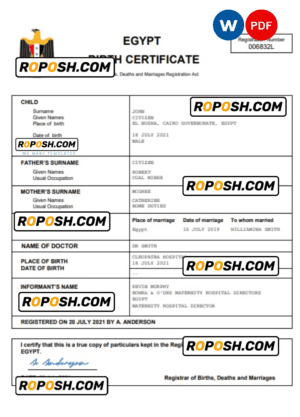 Egypt birth certificate Word and PDF template, completely editable