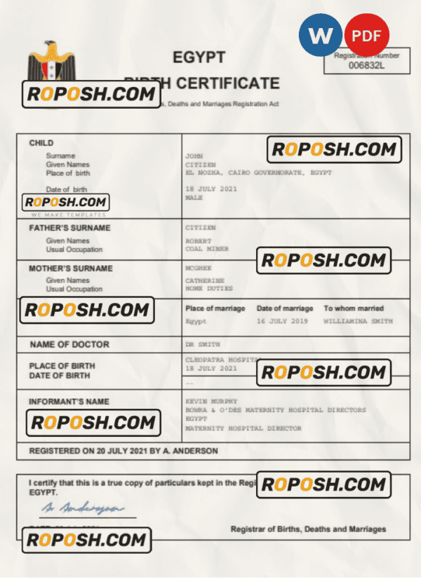 Egypt birth certificate Word and PDF template, completely editable