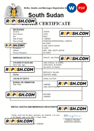 South Sudan vital record death certificate Word and PDF template