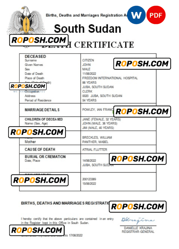 South Sudan vital record death certificate Word and PDF template