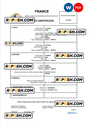 France birth certificate Word and PDF template, completely editable
