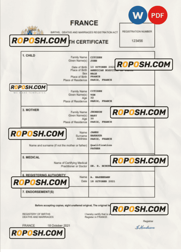 France birth certificate Word and PDF template, completely editable
