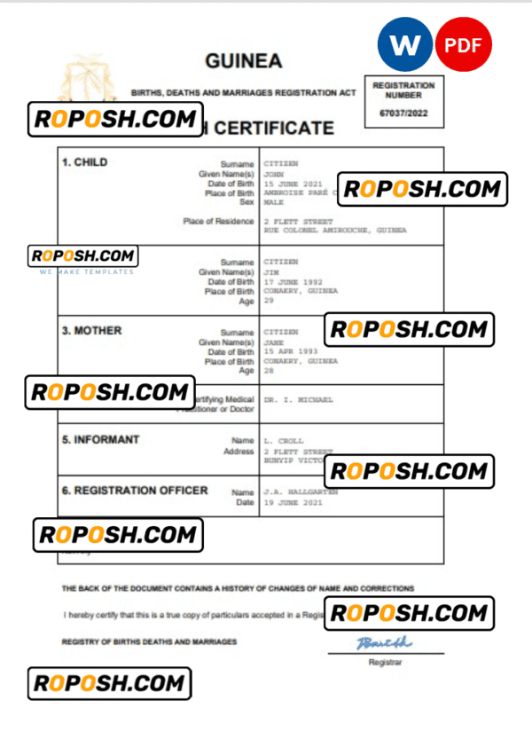 Guinea vital record birth certificate Word and PDF template, completely editable