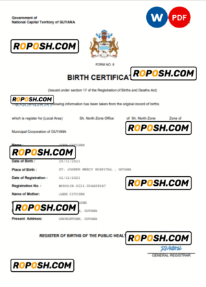 Guyana vital record birth certificate Word and PDF template, completely editable