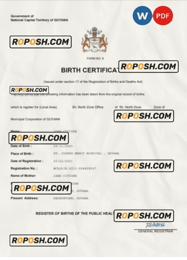 Guyana vital record birth certificate Word and PDF template, completely editable