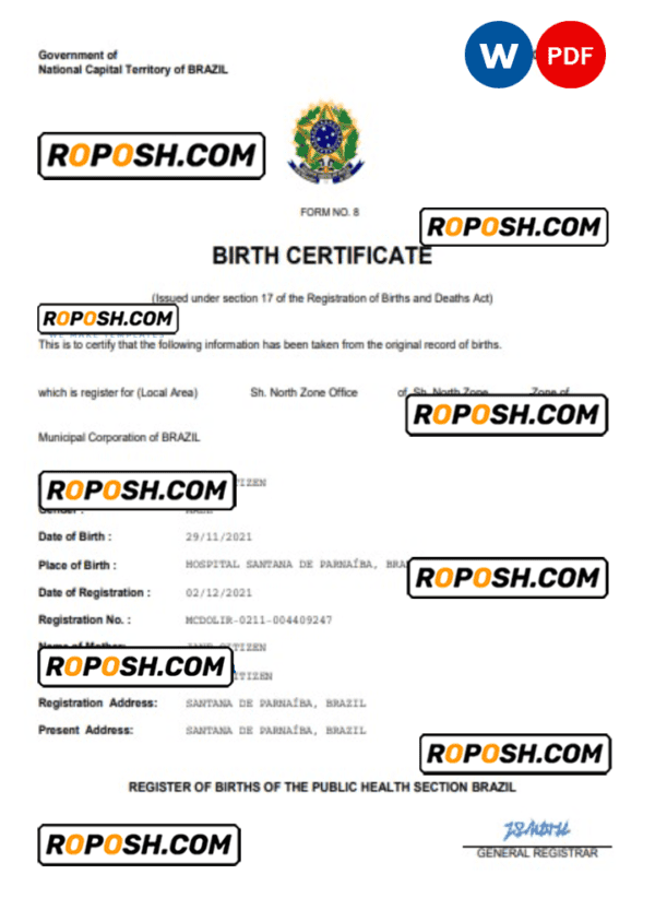 Brazil vital record birth certificate Word and PDF template, completely editable
