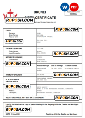 Brunei vital record birth certificate Word and PDF template