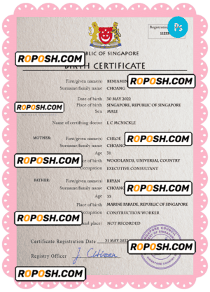 Singapore vital record birth certificate PSD template